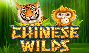 ggwin Chinese Wilds